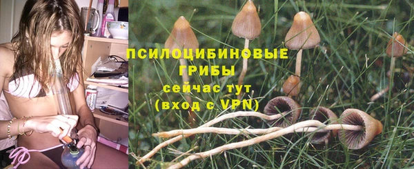 кокаин перу Бородино