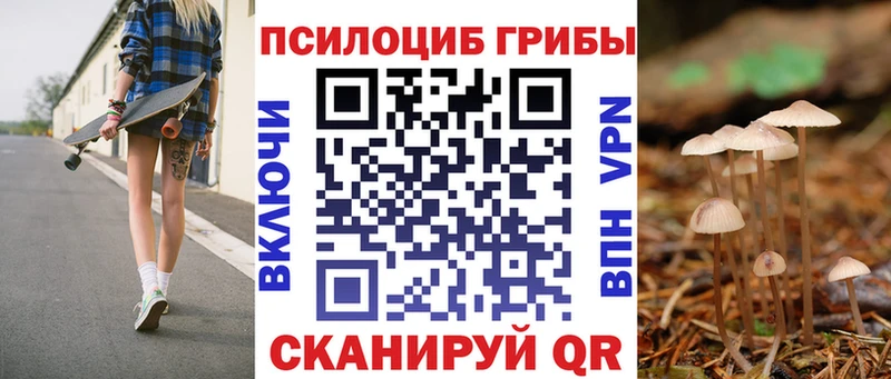 OMG ONION  Раменское  Галлюциногенные грибы Magic Shrooms  купить наркоту 